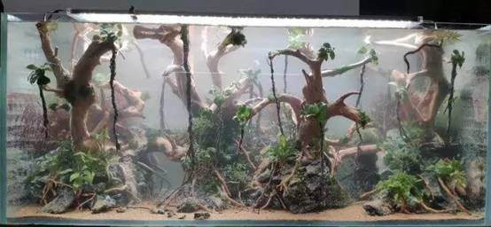 mmexport1571206108825