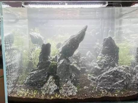 mmexport1571206115308