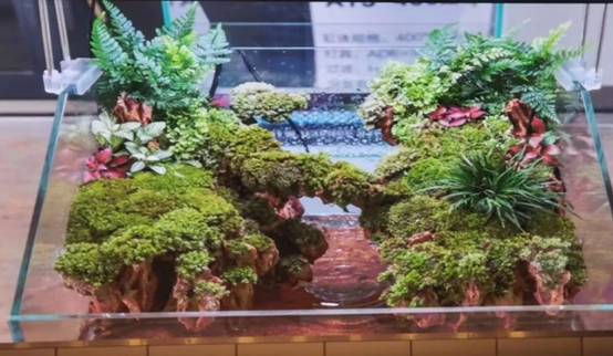 mmexport1571206094051