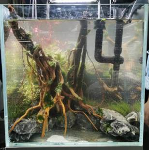 mmexport1571206097056